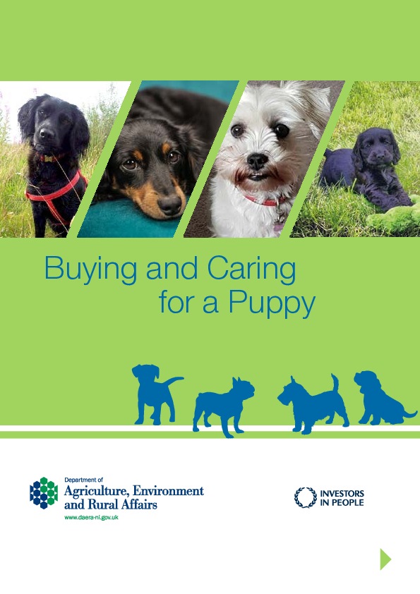 Buying and Caring for a Puppy