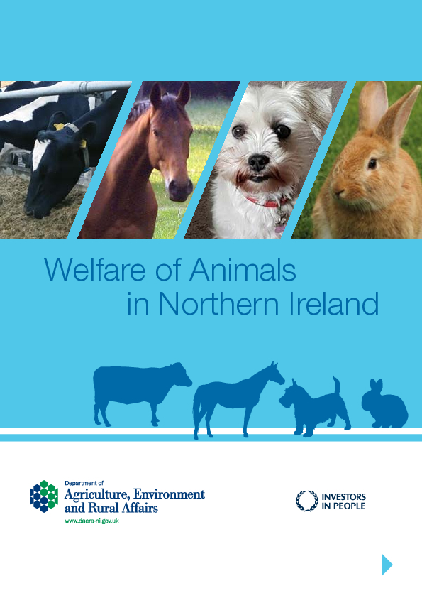 Welfare of Animals in Northern Ireland