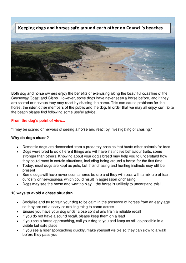 Keeping Dogs and Horses safe around each other on Council's Beaches [PDF]