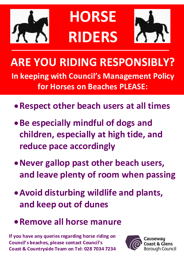 Responsible Horse Riding on Council's Beaches [PDF]