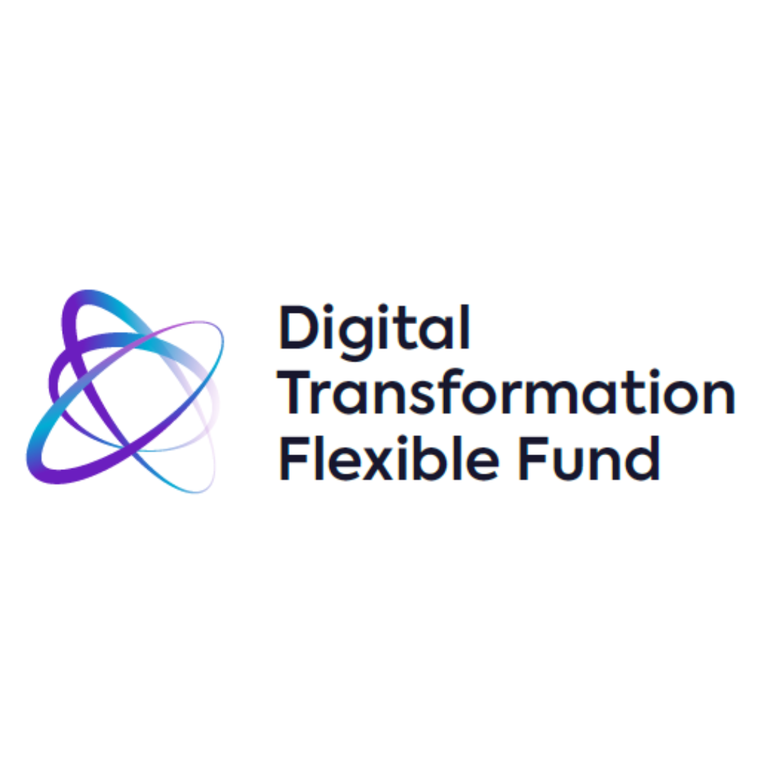 ONGOING SUPPORT:  Upskill alongside a Digital Transformation Flexible Fund Application