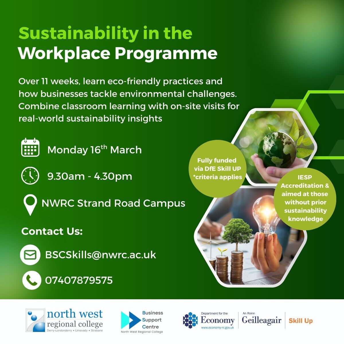 Sustainability in the Workforce Programme