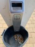 Cigarette butt bin
