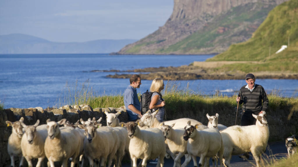 Ballycastle Sheep Co master