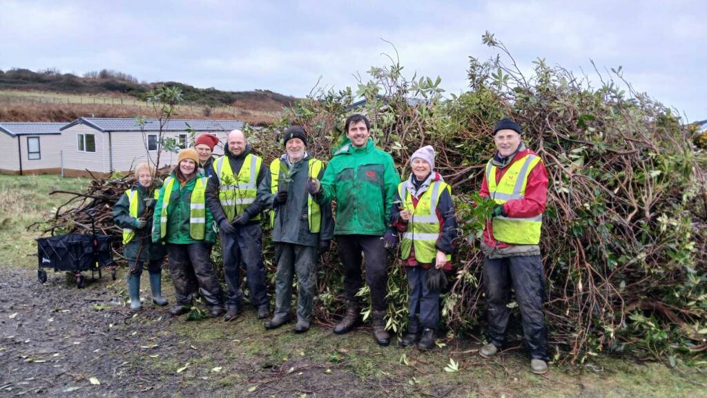 Rhododendron removal CCGHT volunteers