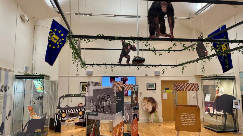 Temporary gallery Causeway Safari Park exhibition 2025