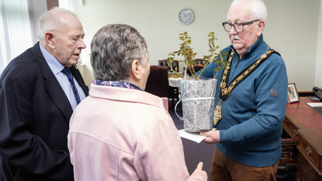 WEDDING ANNIVERSARY 5