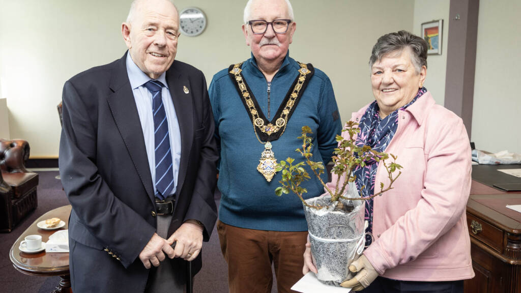 WEDDING ANNIVERSARY 6