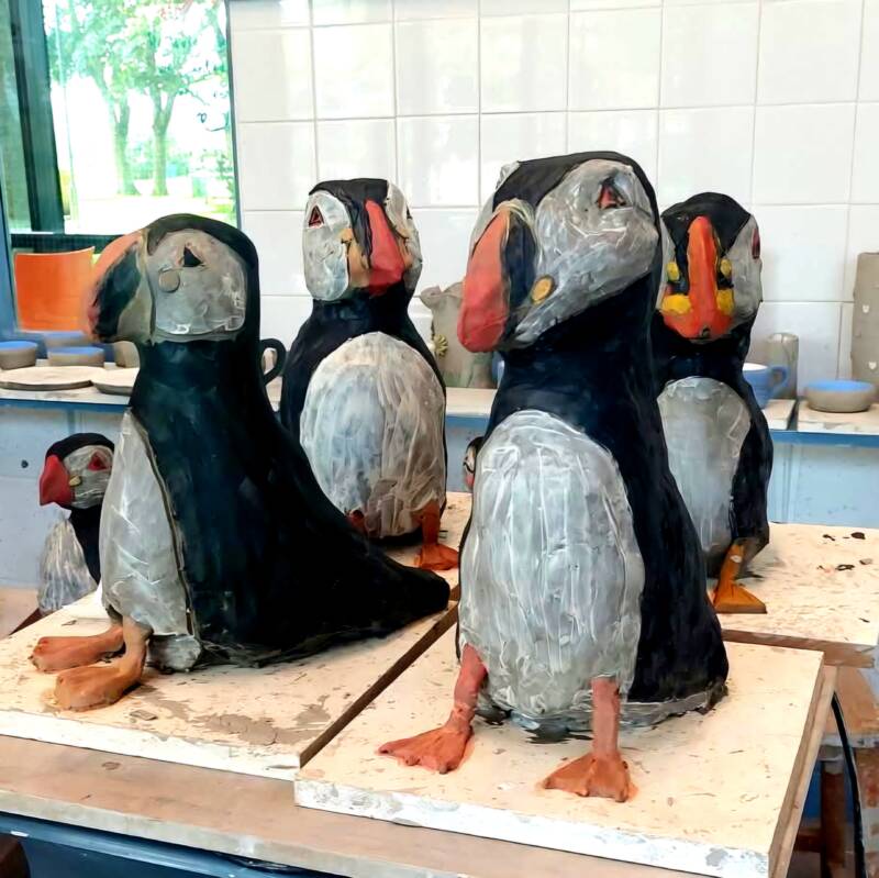 8 Adults Puffin