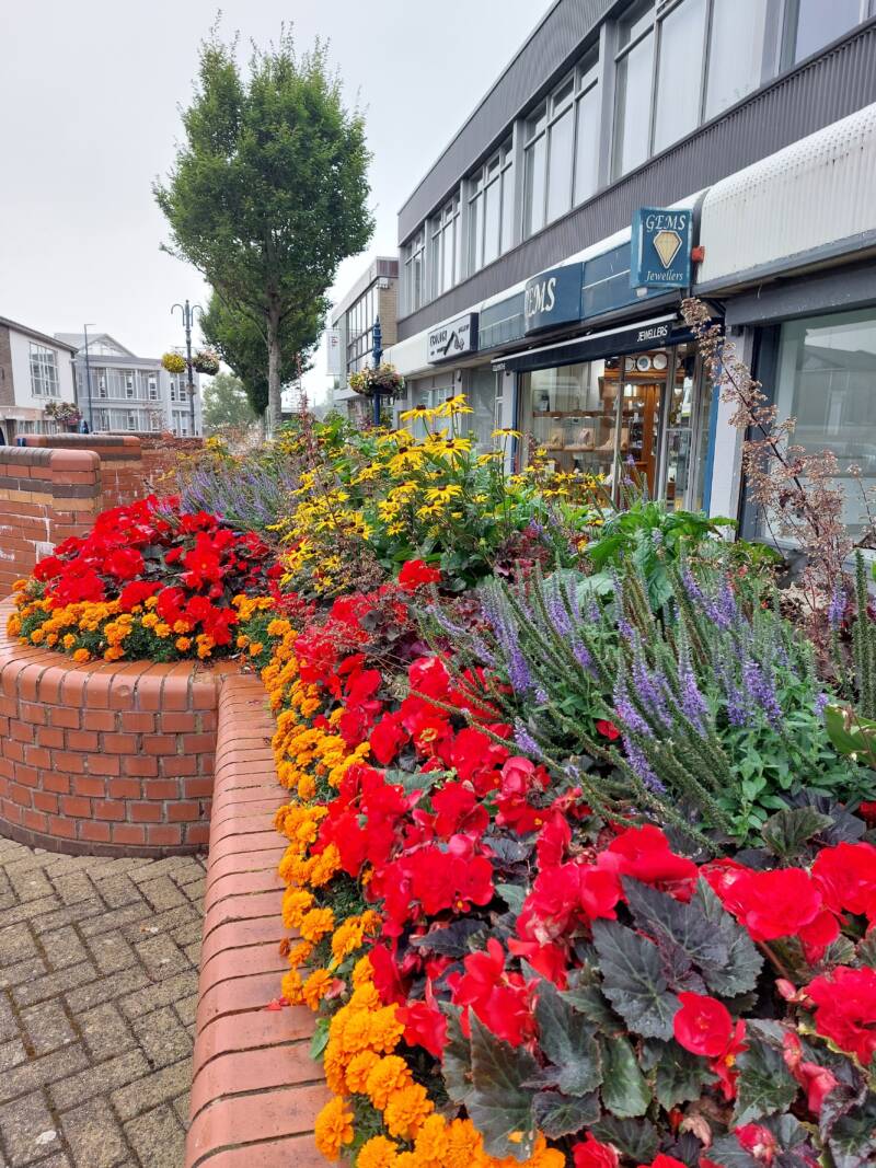 CCGBC BRITAIN IN BLOOM 11