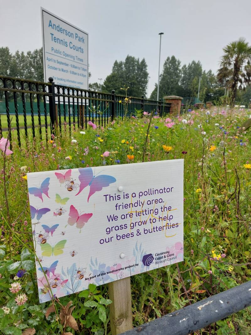 CCGBC BRITAIN IN BLOOM 12