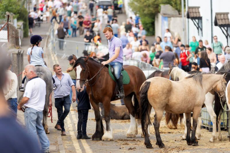 CCGBC OULD LAMMAS FAIR 2025 09