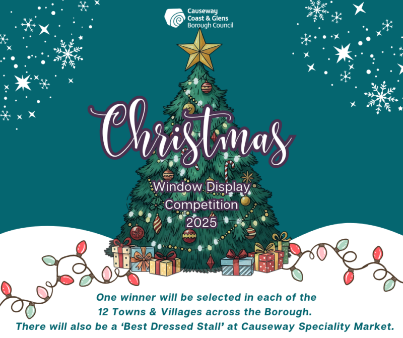 Christmas Window 2025