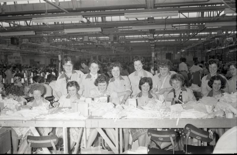 Daintifyt Factory