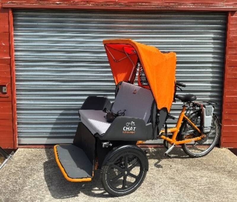 Electric Van Raam RV