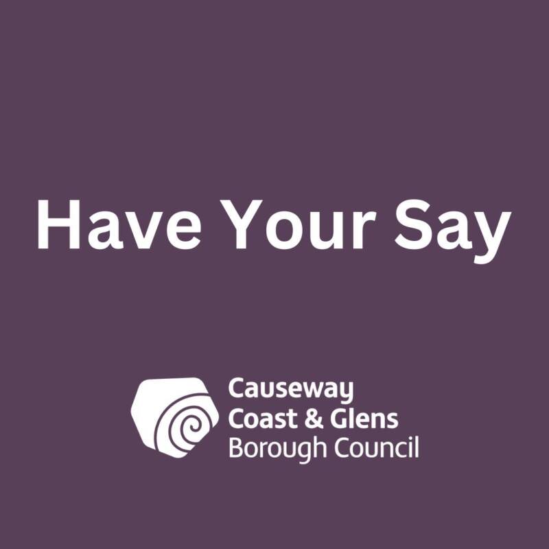 Have Your Say