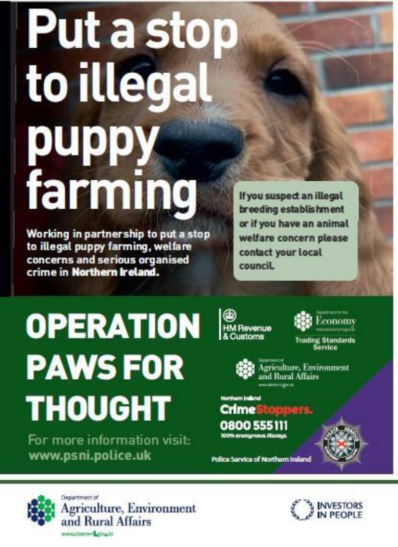 Put a stop to illegal puppy farming Poster