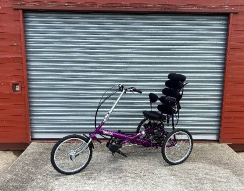 Tomcat Arrow Trike RV