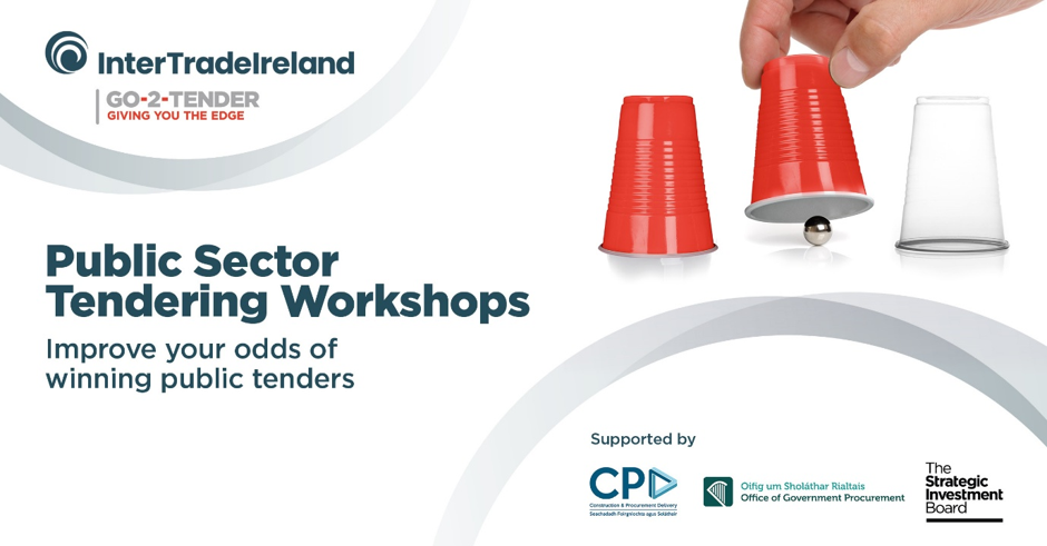 GO 2 TENDER WORKSHOPS:  bid successfully for public sector contracts