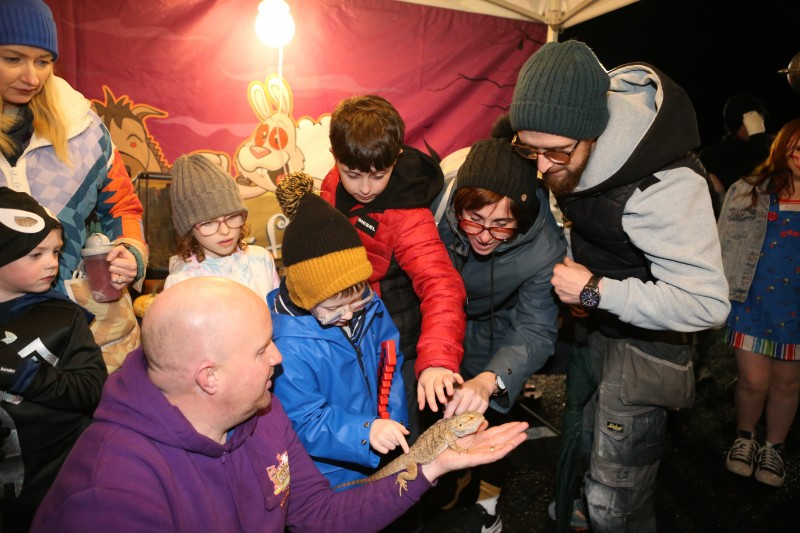 A brave family petting a bearded dragon at the Kidz Farm during the Limavady Halloween celebrations.