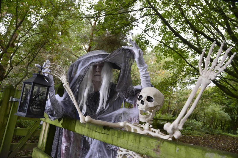 Spooky season is officially here, and the residents of Causeway Coast and Glens can expect some frightfully fun activities as ‘Halloween Happenings’ arrives in towns across the Borough.