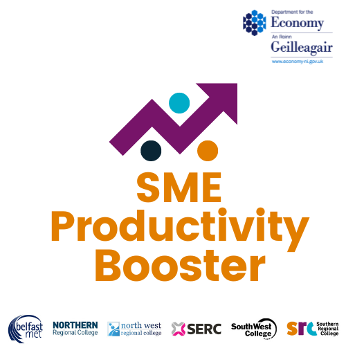 SME Productivity Booster Programme (less than 250 employees)